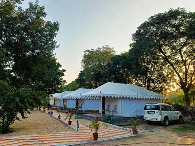 jawai-leopard-safari